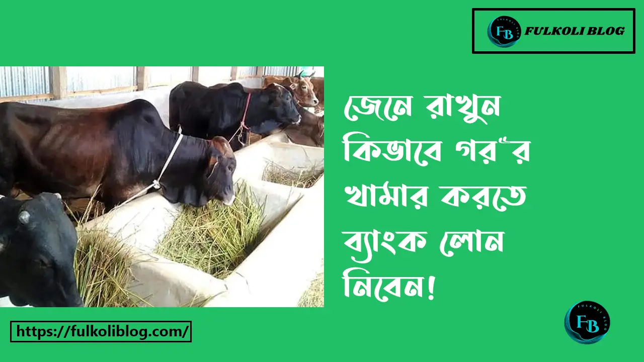 গরুর খামার করতে ব্যাংক লোন