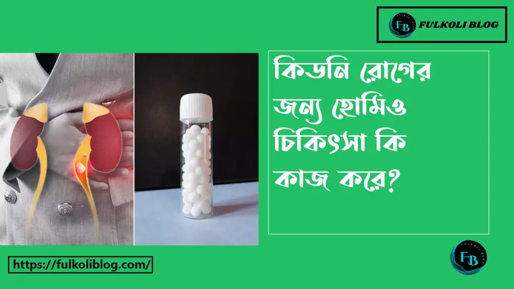 কিডনি রোগীর জন্য হোমিও চিকিৎসা কি নিরাপদ