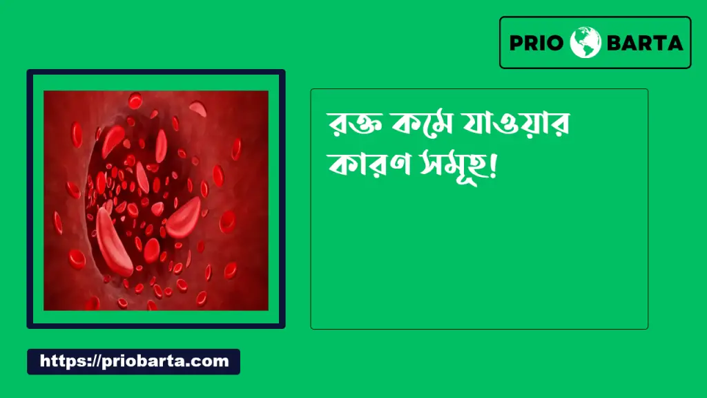 রক্তক্ষরণ ছাড়াই রক্ত কমে যাওয়ার কারণ কি রক্ত কমে যাওয়ার কারণ কি