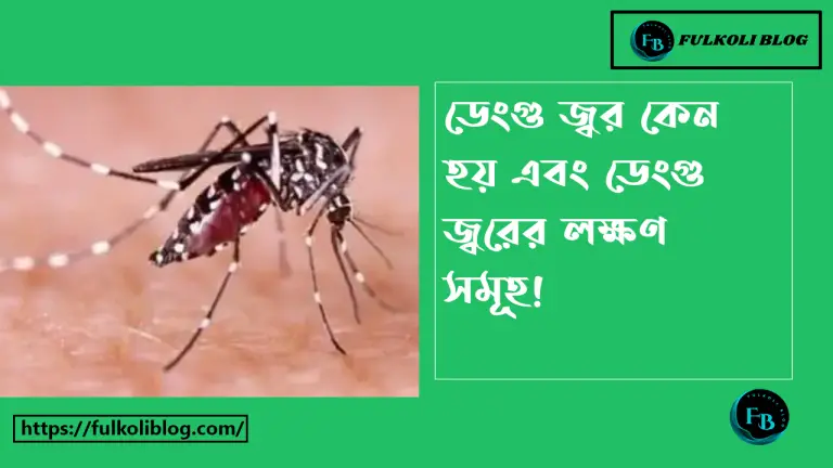 ডেঙ্গু জ্বরের লক্ষণ, ডেঙ্গু রোগ কেন হয়