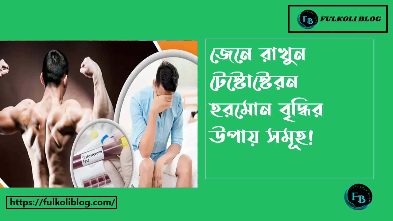 টেস্টোস্টেরন হরমোন বৃদ্ধির উপায়